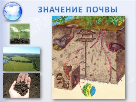 Рисунок плодородной почвы