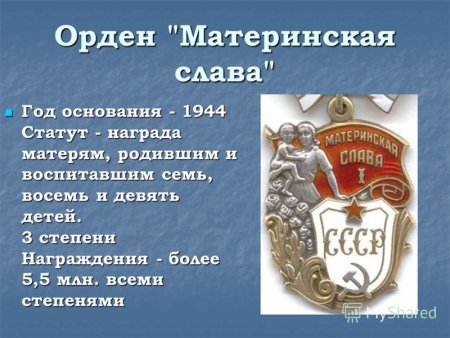 Фото с награждения ордена материнская Слава Белгородской области