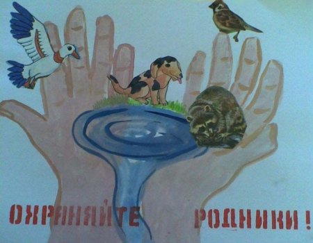 Плакат охраняйте Родники