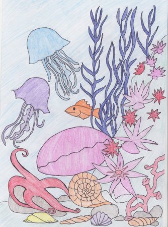 Рисование морские обитатели