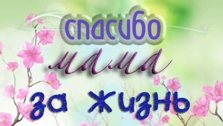 Папу с мамой я люблю