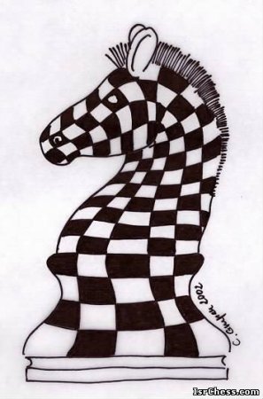 Шахматная Графика