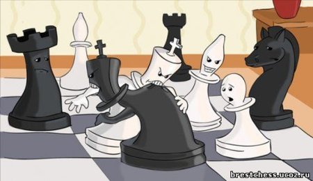 Шахматы зарисовки