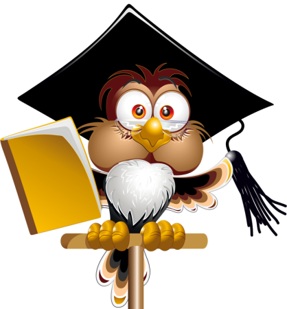 Умная Сова без фона