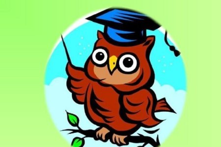 Эмблема команды эрудиты