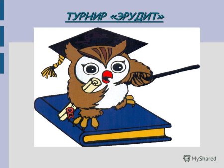 Турнир эрудитов