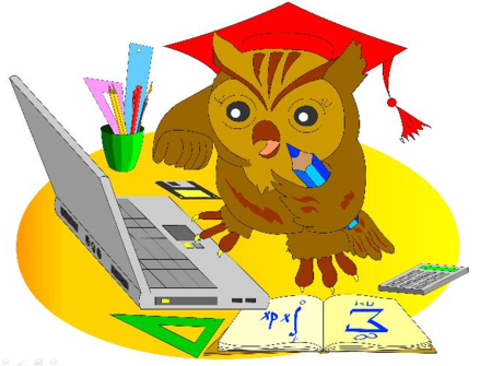 Ноу научное общество учащихся