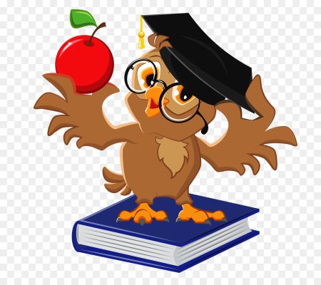 Сова с книгой