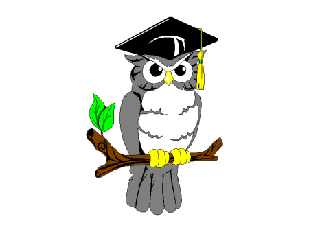 Мудрая Сова