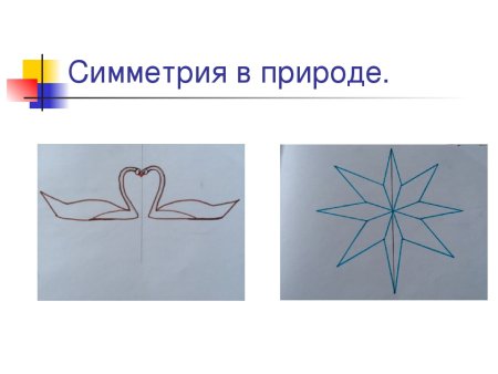 Осевая симметрия рисунки