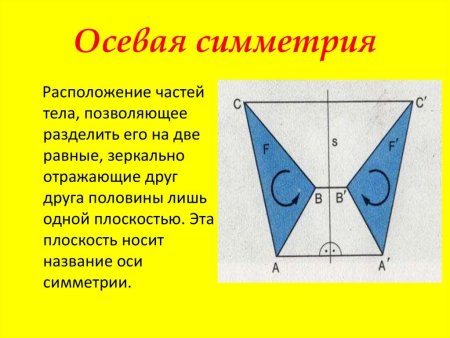 Ось симметрии