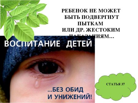 Без обид и унижений