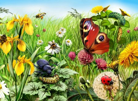 Луг с насекомыми