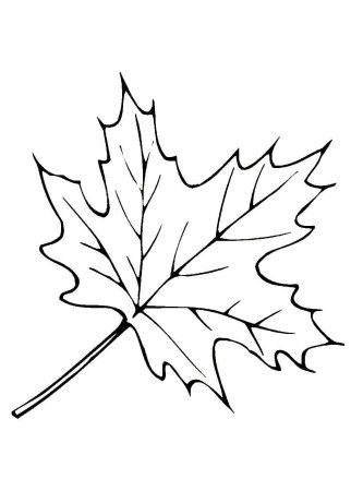 Листья деревьев раскраска