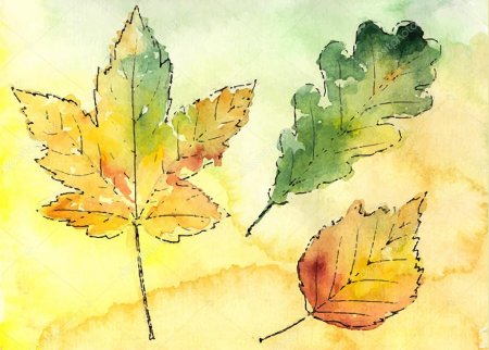 Трафареты осенних листьев