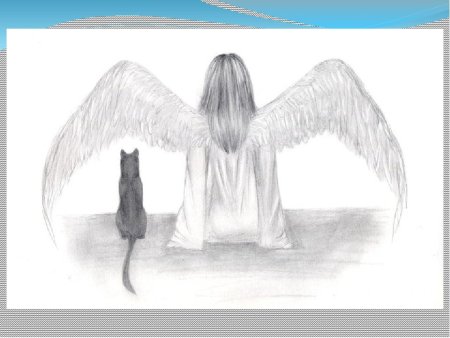 Красивая душа