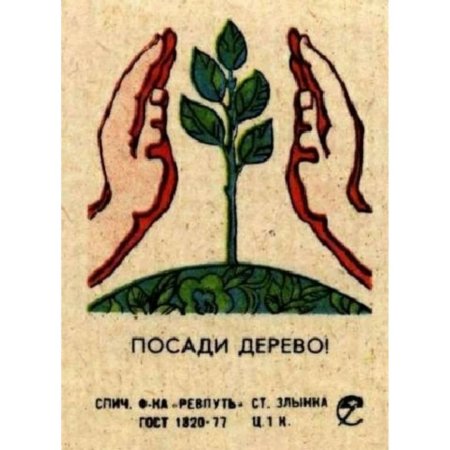 Плакат береги растения