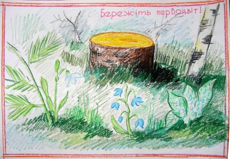 Плакат берегите растения