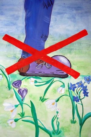 Плакат берегите растения