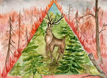 Тайга рисунок