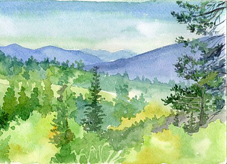 Тайга Сибирь акварель