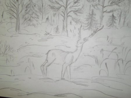 Бунин ельник у дороги