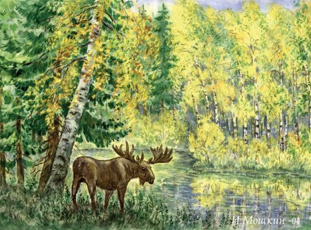 Рисунки на тему природа Сибири