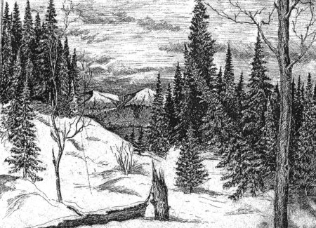 Рисование Дикие животные зимой