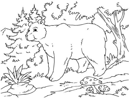 Зимний лес рисунок карандашом