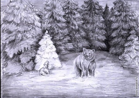 Рисование животные в лесу