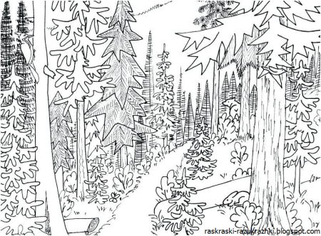 Тайга для детей