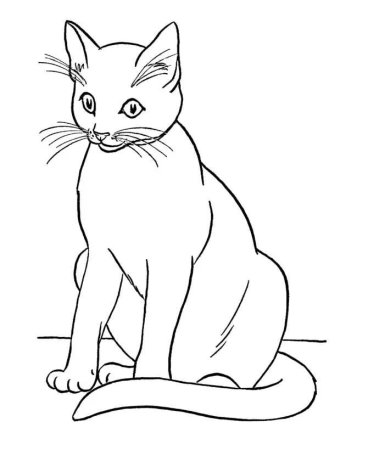 Раскраска. Котики