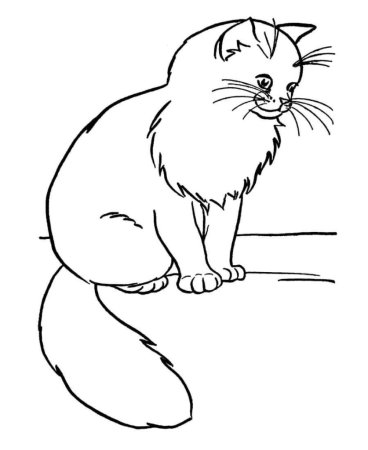 Раскраски котов