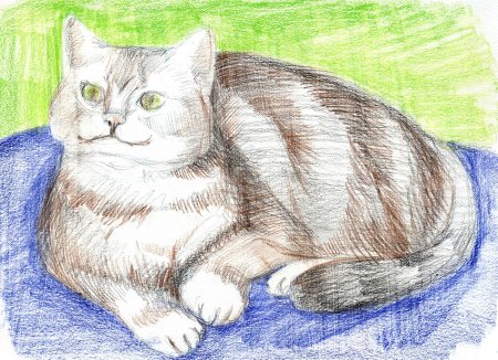 Рисунки котов