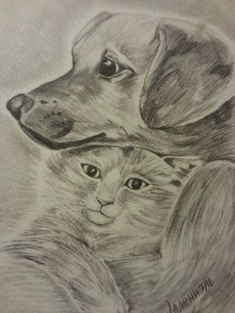 Рисование братья наши меньшие