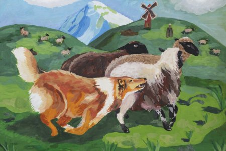 Братья наши меньшие изо