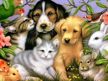 Всемирный день домашних животных