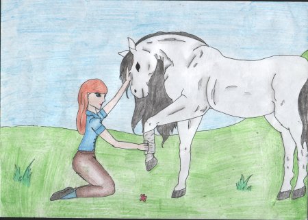 Братья наши меньшие рисунки