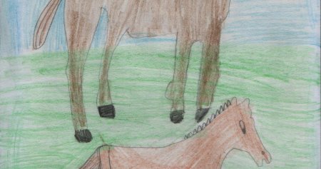 Рисунок на тему братья наши меньшие