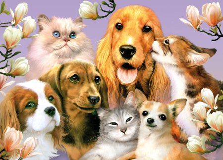 Много домашних животных