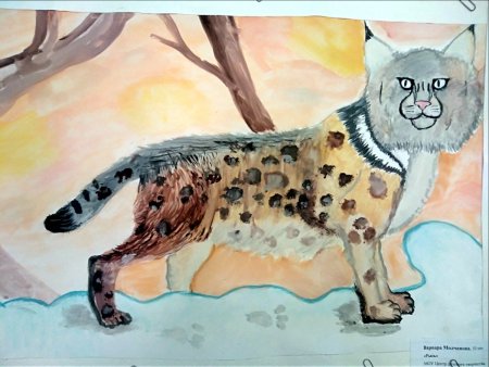 Конкурс рисунков братья наши меньшие