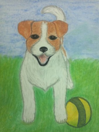 Рисунки насвоболную тему