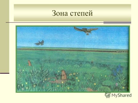 Степь рисунок