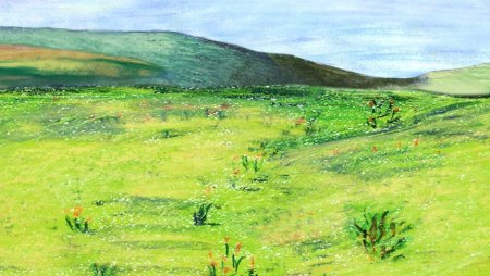 Детские рисунки степи