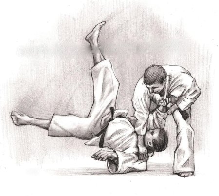 Боевые искусства Jiu Jitsu