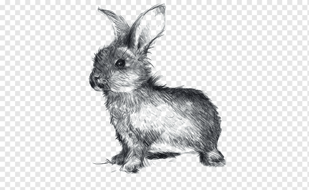 Зайчик Графика