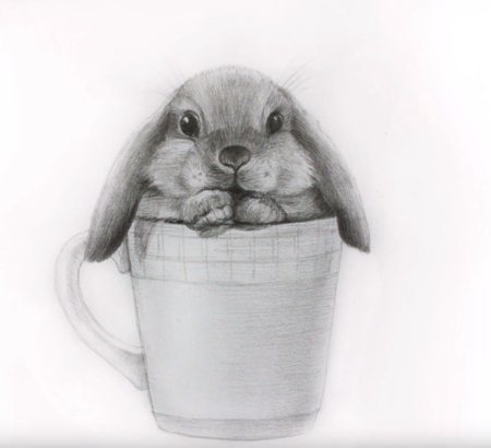 Кролик простым карандашом