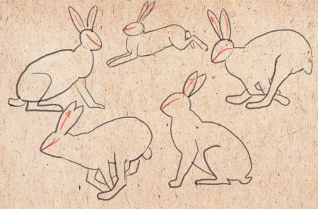 Рисование животных в движении