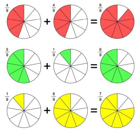Наглядный материал по теме доли и дроби