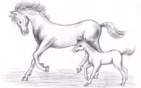 Лошадь рисунок карандашом